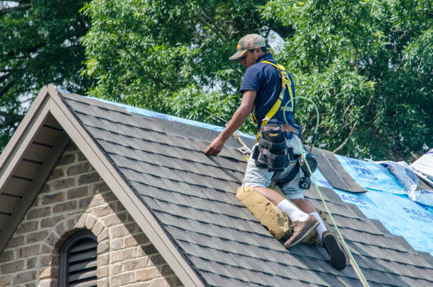 Best Metal Roofing Contractor  in Lake Royale, NC